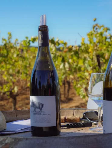 Deux bouteilles de vin posées sur une table dans les vignes IGP du Gard