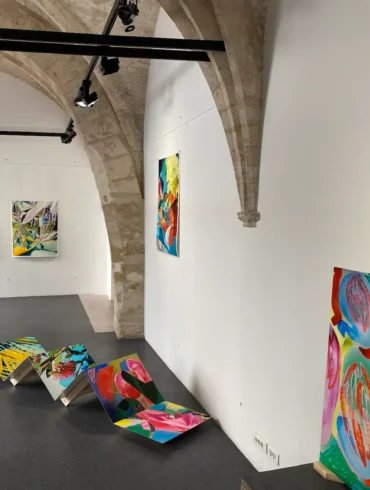 anais-boileau-expose-a-l-espace-saint-ravy-a-montpellier