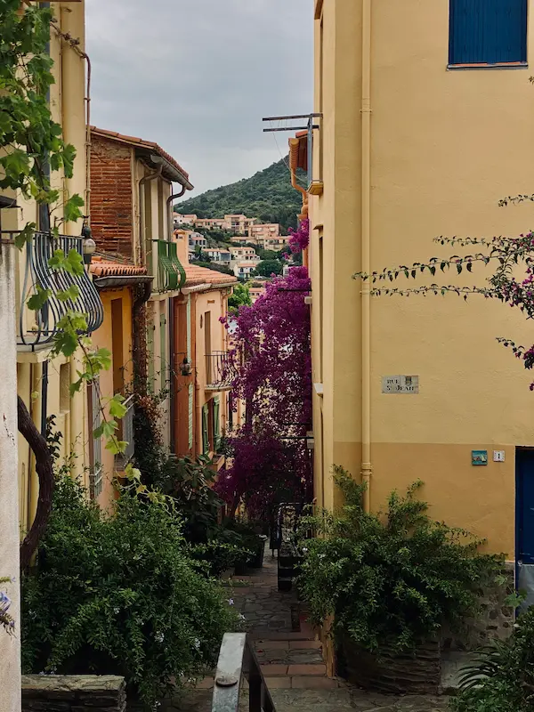 maison-nova-collioure