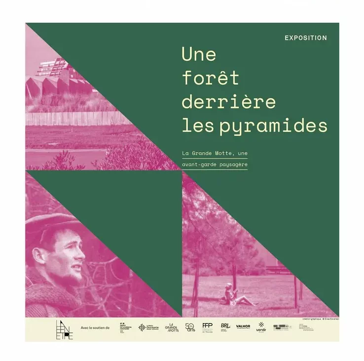 une-foret-derriere-les-pyramides